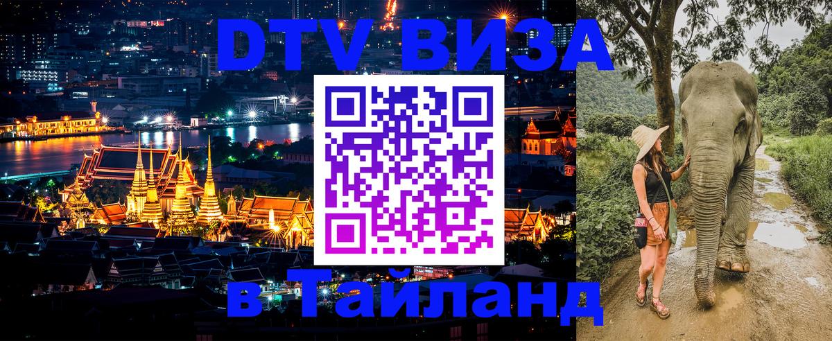 Сколько стоит DTV виза — актуальные цены, оформление даже без документов - 19.11.2025 